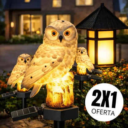 Buho Solar Led MagicNight
