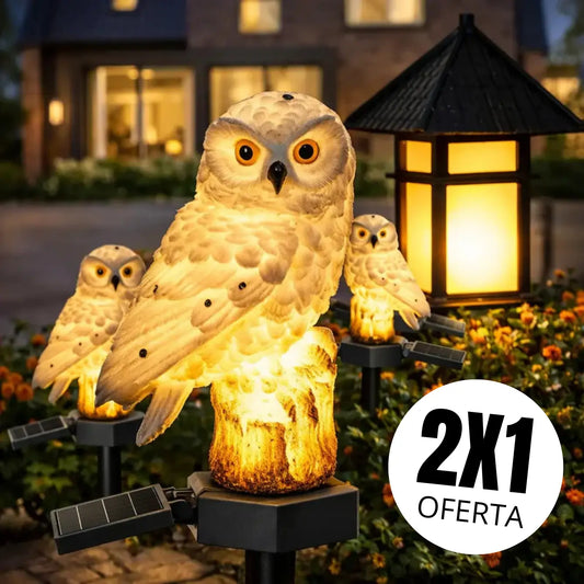 Buho Solar Led MagicNight