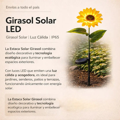 Estaca Girasol Solar - Belleza que Florece de Noche